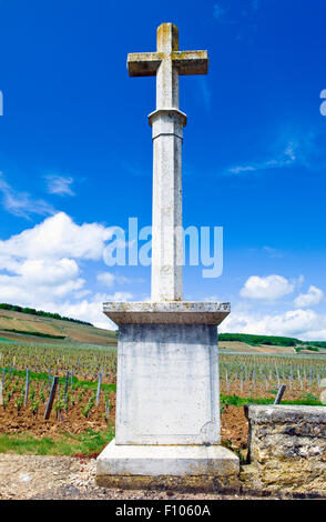 Le marquage d'une croix la tache des vignes à Vosne-Romanée, Bourgogne, France Banque D'Images