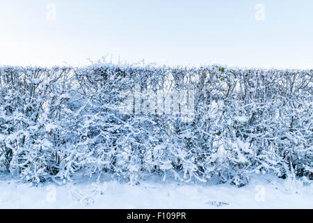 En hiver Couverture recouverte de neige, England, UK Banque D'Images