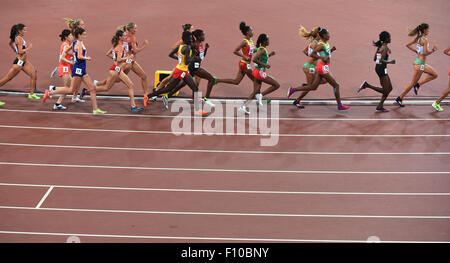 Beijing, Chine. Août 24, 2015. Les athlètes s'affrontent au cours de la féministe 10000m finale aux Championnats du monde IAAF 2015 au 'nid d'oiseau' Stade national de Beijing, capitale de la Chine, le 24 août, 2015. © Li Wen/Xinhua/Alamy Live News Banque D'Images