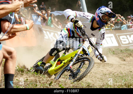 Val di Sole, Italie - 22 août 2015 : Gt Factory Racing Team rider, Gee Atherton en action pendant la descente finale élite mens Banque D'Images