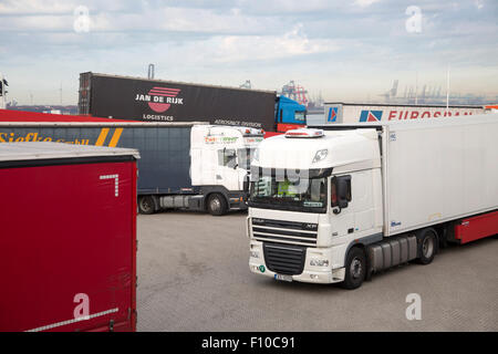 Véhicules de transport de marchandises lourdes de débarquement Stena Lines Ferry, crochet d'Hollande, Pays-Bas Banque D'Images