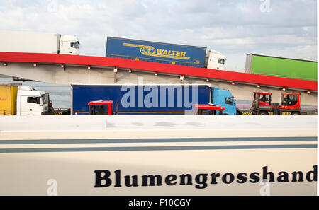 Véhicules de transport de marchandises lourdes de débarquement Stena Lines Ferry, crochet d'Hollande, Pays-Bas Banque D'Images