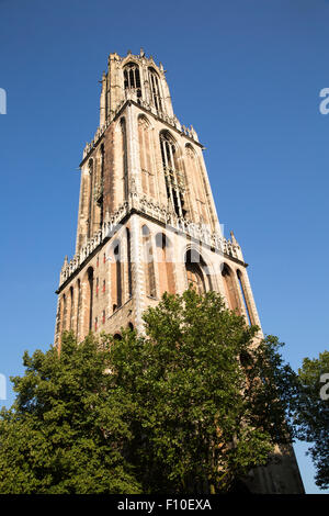 Xive siècle célèbre Dom tour de l'église dans la ville d'Utrecht, Pays-Bas Banque D'Images