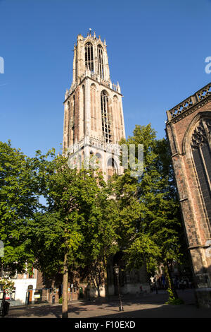 Xive siècle célèbre Dom tour de l'église dans la ville d'Utrecht, Pays-Bas Banque D'Images