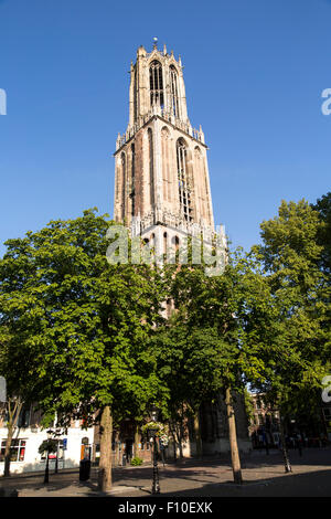 Xive siècle célèbre Dom tour de l'église dans la ville d'Utrecht, Pays-Bas Banque D'Images