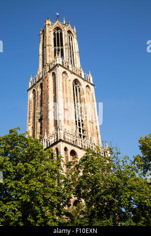 Xive siècle célèbre Dom tour de l'église dans la ville d'Utrecht, Pays-Bas Banque D'Images