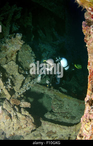 Mer Rouge, Egypte. 15 Oct, 2014. Plongeur à la recherche de shipwreck ''SS Dunraven''. Red Sea, Egypt, Africa © Andrey Nekrasov/ZUMA/ZUMAPRESS.com/Alamy fil Live News Banque D'Images