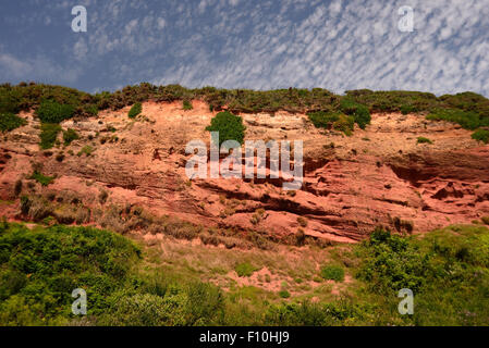 Falaises de grès rouge à côté de la ligne de chemin de fer côtière. Banque D'Images