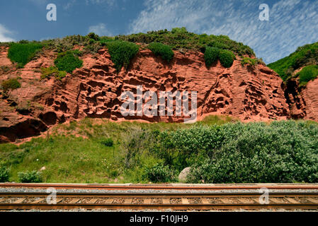 Falaises de grès rouge à côté de la ligne de chemin de fer côtière. Banque D'Images