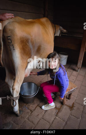 Jeune fille à la ferme laitière. Banque D'Images