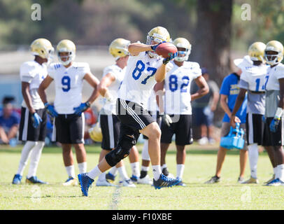 San Bernardino, CA. Août 18, 2015. La main l'extrémité de l'UCLA (87) Chris Clark fait une prise au cours d'une pratique de l'automne le mardi 18 août 2015 à Cal State College de San Bernardino, San Bernardino, en Californie. (Crédit obligatoire : Juan Lainez/MarinMedia.org/Cal Sport Media) (photographe complet, et de crédit requis) © csm/Alamy Live News Banque D'Images