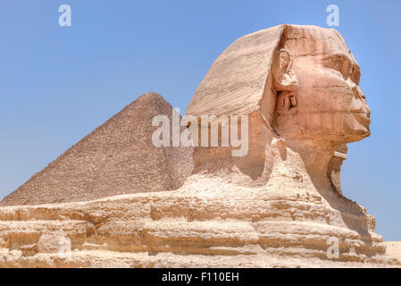 Grand Sphinx de Gizeh, Giza, Cairo, Égypte, Afrique Banque D'Images