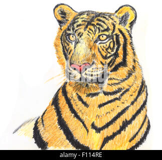 L'original du dessin de tigre sur papier blanc Banque D'Images