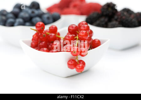 Groseilles, mûres, framboises et bleuets dans des bols blancs sur fond blanc. Banque D'Images