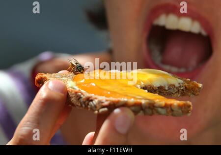 ILLUSTRATION - une femme est titulaire d'un jam sandwich avec une guêpe assis sur le dessus de Kempten, Allemagne, 23 août 2015. Les guêpes sont une vue commune en Allemagne au cours de l'été. Photo : Karl-Josef Opim /AFP Banque D'Images