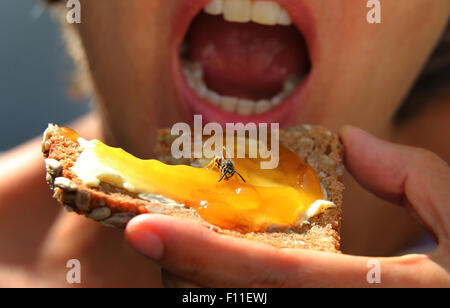 ILLUSTRATION - une femme est titulaire d'un jam sandwich avec une guêpe assis sur le dessus de Kempten, Allemagne, 23 août 2015. Les guêpes sont une vue commune en Allemagne au cours de l'été. Photo : Karl-Josef Opim /AFP Banque D'Images