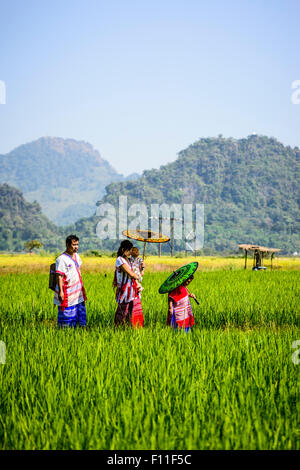 Asian family marcher sous des parasols in rural field Banque D'Images