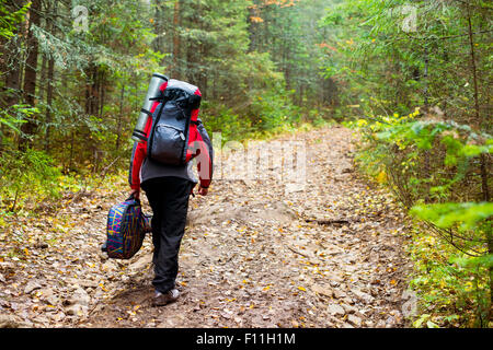 Caucasian hiker transportant la guitare sur chemin forestier Banque D'Images