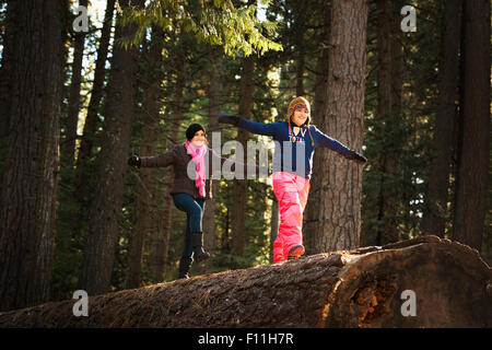 Les enfants en équilibre sur log in forest Banque D'Images