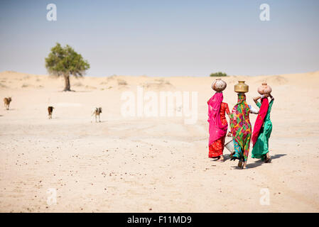 Des femmes portant des paniers traditionnels dans l'eau dans le désert à distance Banque D'Images