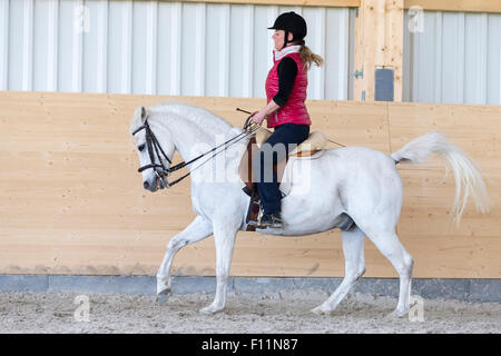 Équitation allemande Rider Poney poney blanc compteur d'canter Banque D'Images