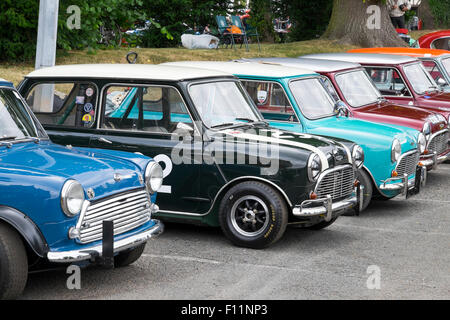 Un line-up de Mini Coopers à Chateau Impney Hill Climb, Worcestershire, Angleterre, RU Banque D'Images