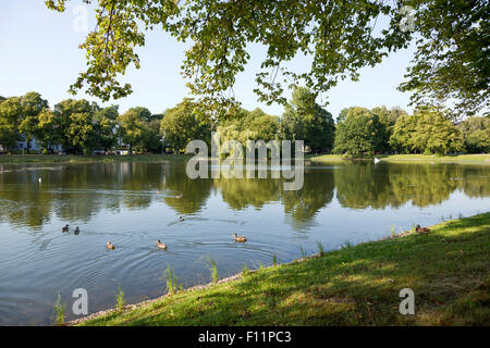 Binnengewässer Kleiner Kiel, Kiel, Schleswig-Holstein, Allemagne | Lac Kleiner Kiel, Kiel, Schleswig-Holstein, Allemagne Banque D'Images