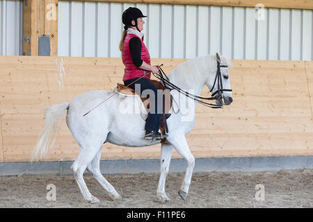 Équitation allemande Rider Poney poney blanc effectuer piaffer Banque D'Images