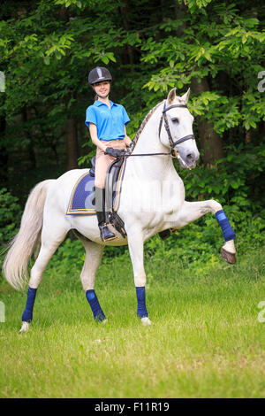 Lusitano-cavalier cheval gris d'effectuer la marche espagnole Autriche Banque D'Images