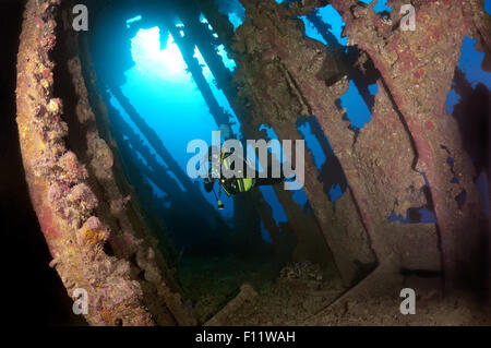 15 octobre 2014 - Red Sea, Egypt - wreckship Carnatik à plongeur à la recherche. La mer Rouge, Charm el-Cheikh, Egypte (crédit Image : © Andrey Nekrasov/ZUMA/ZUMAPRESS.com) fil Banque D'Images