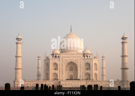 Agra, Uttar Pradesh, Inde. Taj Mahal à la lumière rose de l'aube. Banque D'Images