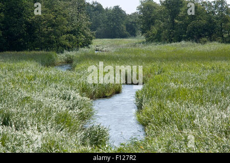 Région appelée 'de Wieden' a développé d'anciennes tourbières , zone avec beaucoup de canaux, des ponts, etc... Banque D'Images