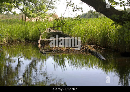 Région appelée 'de Wieden' a développé d'anciennes tourbières , zone avec beaucoup de canaux, des ponts, etc... Banque D'Images