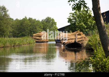 Région appelée 'de Wieden' a développé d'anciennes tourbières , zone avec beaucoup de canaux, des ponts, etc... Banque D'Images