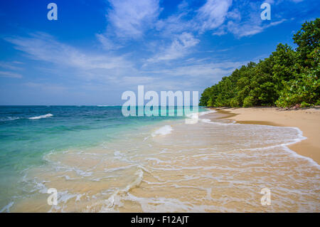 Isla Zapatilla à province de Bocas del Toro au Panama Banque D'Images