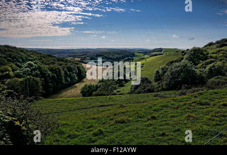 Promenades sur le bas Ashey, sur une crête de la craie sur l'île de Wight, commandant des vues à couper le souffle vers l'ouest en direction de Newchurch Banque D'Images