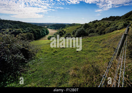 Promenades sur le bas Ashey, sur une crête de la craie sur l'île de Wight, commandant des vues à couper le souffle vers l'ouest en direction de Newchurch Banque D'Images