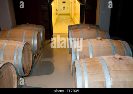 Des tonneaux de vin en chêne - Mendoza - Argentine Banque D'Images