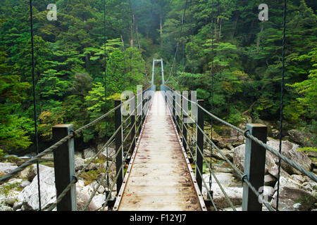 Un pont suspendu traversant une rivière dans une luxuriante forêt tropicale sur le sud de l'île de Yakushima (屋久島), au Japon. Banque D'Images