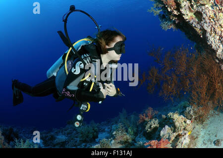 Mer Rouge, Egypte. 15 Oct, 2014. Au coral reef à plongeur à Ras Mohammed National Park, Sinai, Red Sea, Egypt, Africa. © Andrey Nekrasov/ZUMA/ZUMAPRESS.com/Alamy fil Live News Banque D'Images