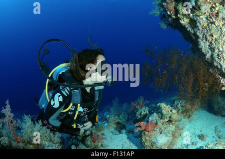 Mer Rouge, Egypte. 15 Oct, 2014. Au coral reef à plongeur à Ras Mohammed National Park, Sinai, Red Sea, Egypt, Africa. © Andrey Nekrasov/ZUMA/ZUMAPRESS.com/Alamy fil Live News Banque D'Images