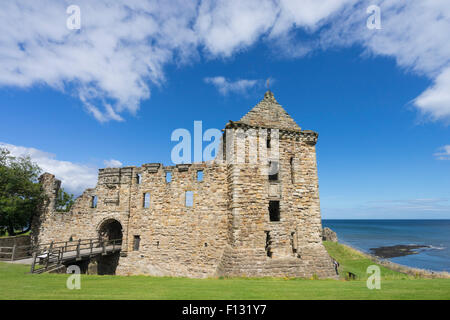 Ruines du château de St Andrews, St Andrews, Fife, Scotland Banque D'Images