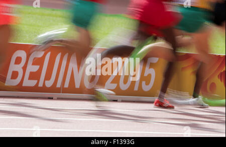 Beijing, Chine. Août 26, 2015. Les athlètes s'affrontent au cours de la Men's 5000 m 1 de la 15e ronde de l'Association Internationale des Fédérations d'athlétisme (IAAF) Championnats du monde d'athlétisme à Pékin, Chine, 26 août 2015. Photo : Michael Kappeler/dpa/Alamy Live News Banque D'Images