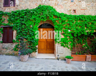 Porte en bois Vintage recouvert de lierre d'un ancien bâtiment en Toscane, Italie Banque D'Images