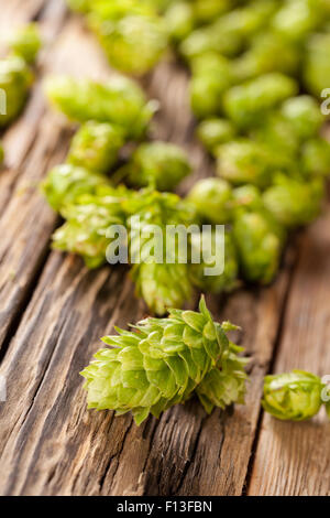 Le houblon vert frais de bureau en bois Banque D'Images