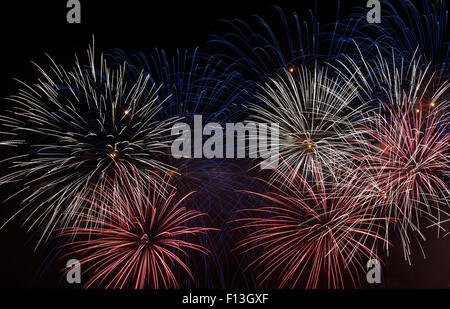 Couleur lumineuse d'artifice dans le ciel de nuit Banque D'Images