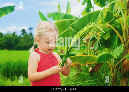 Mignon bébé curieux d'explorer la nature de l'examen - paquet de riz biologique mûr sur un champ vert terrasse. L'alimentation saine, le mode de vie Banque D'Images