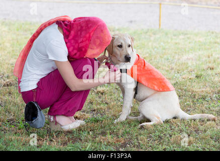 Un formateur est debout à côté d'un golden retriever chien-guide au cours de la dernière formation de l'animal. Les chiens sont l'objet d'vario Banque D'Images