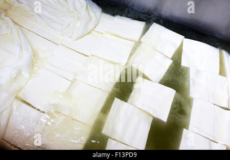 La Feta est un fromage blanc caillé en saumure faite en Bulgarie à partir du lait de brebis ou d'un mélange de lait de chèvre et brebis. Saumure semblable Banque D'Images