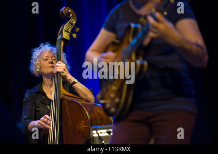 Bassiste avec Deirdre Cartwright Band & Friends performing on stage à Brecon Jazz Festival 2015 Banque D'Images